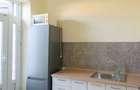 Apartament si studio in centru I. Maniu la casa - 5