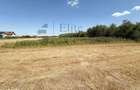 Teren intravilan 1114 mp Sanmartin - 6