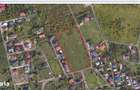 Teren de vanzare in Pacurari, 13300mp - 1