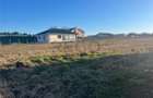 RECO Teren intravilan pentru loc de casa 500 mp Sanmartin - 3