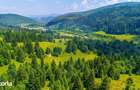 Natura 18.900 mp in Sacele, cu rau ?i priveli?te montana