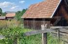 Teren 420 mp cu garaj construit, Ocolis - 4