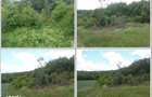 Teren extravilan com.Dragesti, jud.Bihor - 2