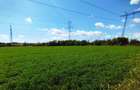 Terenuri intravilane 4550 MP, deschidere la stradă 32 m - 6