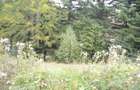 Teren intravilan situat in Busteni-Valea Alba - 4