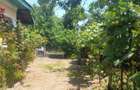 Casa de vanzare intr-o zona de poveste Francesti, comuna Pestisani, judetul Gorj - 1