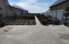 Vand teren in Mirila - 3 km de oras Bals - 5
