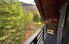 Vand casa la munte - Lunca Vi?agului, Valea Draganului