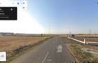 Teren Centura 10000 mp Concesiune Str Bujorului New 2026 - 3