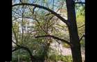 Apartament cu 2 camere decomandat în Brazda lui Novac - 3