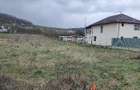Teren Intravilan Aghiresu Fabrici - 5
