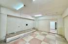 Vânzare Spațiu Comercial, 80 mp, planul 1- Nicolina- Belvedere - 9