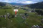 Casa DE VANZARE ?arul Dornei 1075 mp Teren - 17