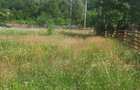 Teren superb 1081 mp Malaia, Valcea - 8