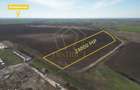 Teren extravilan in zona industriala dezvoltata | Dumbravita - Giarmat