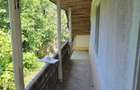 Casa de vanzare Pancesti, Romania | Teren mare (aprox. 1 hectar) - 1