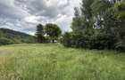 Teren plat-intravilan -3800 mp, cu padurice si iesire la rau! - 19
