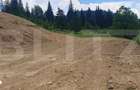 Teren extravilan pentru o casa de vis in Dorna Candrenilor - 1