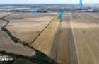 TEREN 10.000 MP VLADIMIRESCU / ACCES FOARTE BUN - 2
