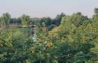 Teren Construcții intravilan de 1000 mp, în Clinceni - 3