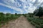 Teren intravilan, 6796 mp, zona Crangurile de Jos - 5