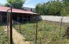 Casa din lemn masiv | 3 camere | Teren 5.000mp -Berceni Prahova - 3