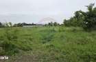 Teren intravilan, langa padure, 752 mp, Bolintin-Deal