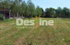 Teren Intravilan 12500 mp Drajna de Sus - Teisani. - 3