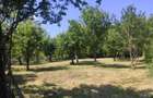 Vila cu gradina si pomi fructiferi 2500mp Dambovita - 2