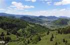 Teren de 10Ha in Bucovina BEST VIEW - 4