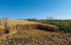 15000mp Horlesti Breazu , zona case noi - 2