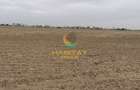 Teren intravilan lot 520 mp sos Giurgiu la 7 km de Bucuresti - 1