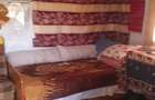 2 camere, 4000 mp,langa lacul Vidraru - 1