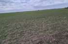 Vanzare teren intravilan 13.852mp, zona depozite Domnesti - 5