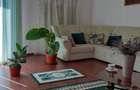 vand casa Sebis, Arad - 2