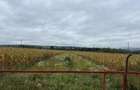 Vand teren intravilan 2000m2 in sat Hotarel, langa ?tei cu toate utilita?ile - 3