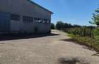 Spațiu Industrial și Logistic - 13