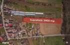 Nuci - Balta Neagra, Lot 3900 Mp, La Padure! - 1