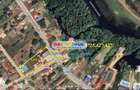 Vanzare Pensiune Solinia+Restaurant+piscina+debarcader-Dunavatu de Jos