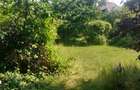 Casa individuala Gheorgheni | Gradina de 495 mp - 2