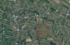 Teren 21,4 ha comasat, 2,5 ha intravilan - Miresu Mare