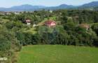 Teren 3,000mp Predelut / Strada Pe Tarina
