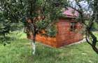 Teren de vanzare cu cabana si livada, 1300 mp, zona Viile Satu Mare - 6