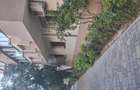 Vand apartament 2 camere Parcul Circului - 4