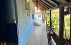Vanzare casa Salcioara com Jurilovca jud Tulcea - 1