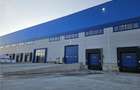 Spatiu Industrial - 10000 mp - Logistica - Productie - Depozitare - 8