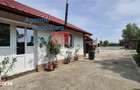 Proprietate deosebita de vanzare | Casa, 13.200 mp teren, doua iazuri - 3