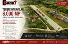 Teren 8.000 MP | Daia Noua | Intravilan | Oportunitate | SkyView - 1