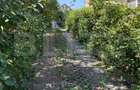 Garsoniera la casa, 20 mp, pet friendly, zona Manastur - 1