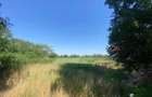 🏡 TEREN INTRAVILAN DE VÂNZARE – CHEVEREȘU MARE 🌳 - 3